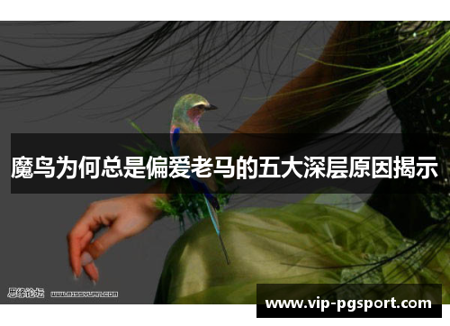 魔鸟为何总是偏爱老马的五大深层原因揭示